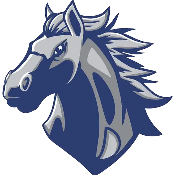 Dobson Mustangs 