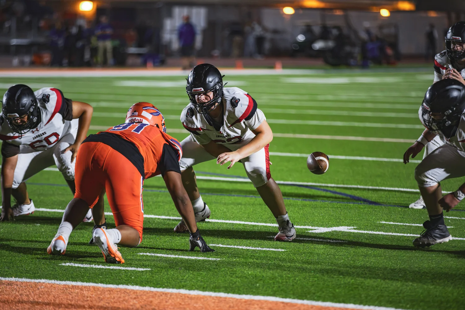 Jaguar snapping the ball to the QB
