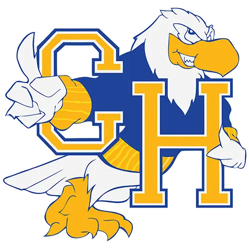 Carl Hayden Falcons