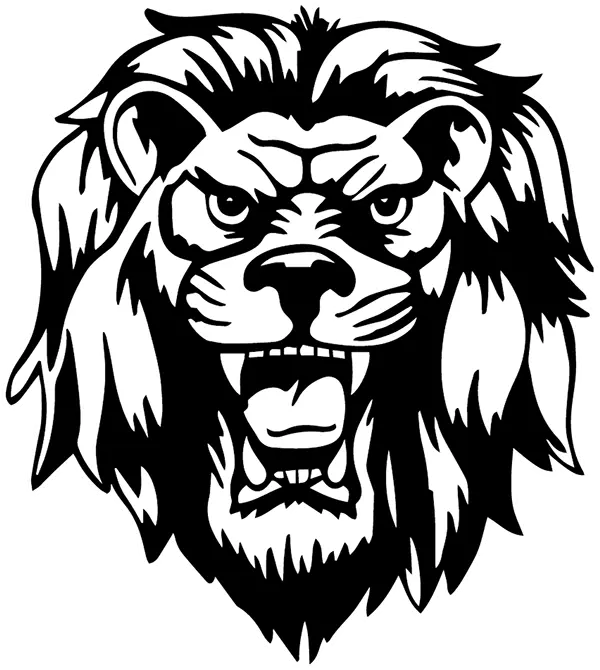 Liberty Lions Football